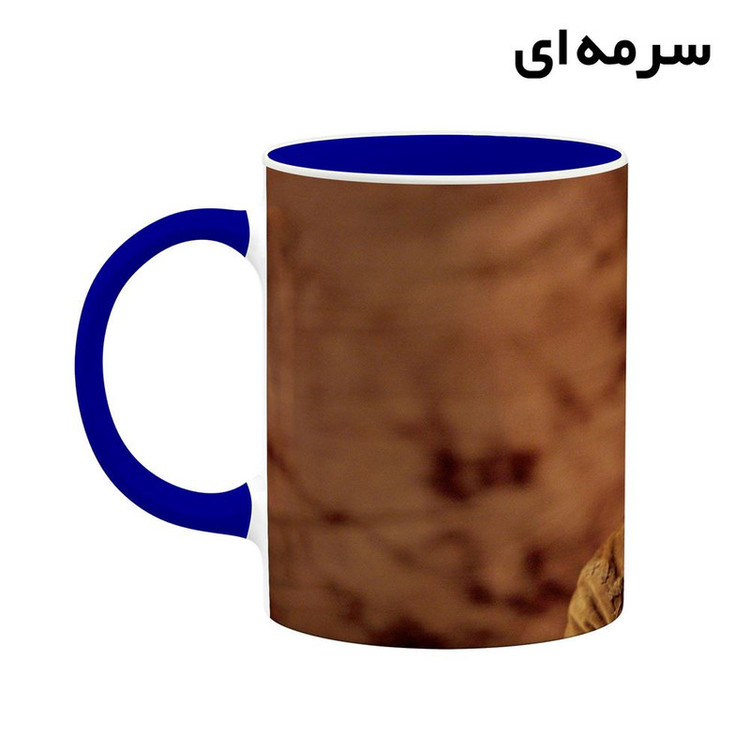 فاکس شاپ ماگ کاکتی طرح جانی دپ Johnny Depp مدل mgh26500