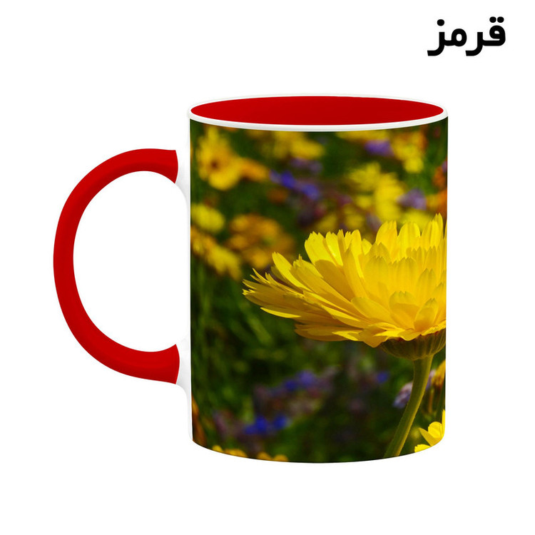 فاکس شاپ ماگ کاکتی طرح minion مینیون مدل mgh42660