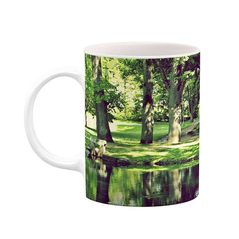 فاکس شاپ ماگ کاکتی مدل برکه کد mgh11239