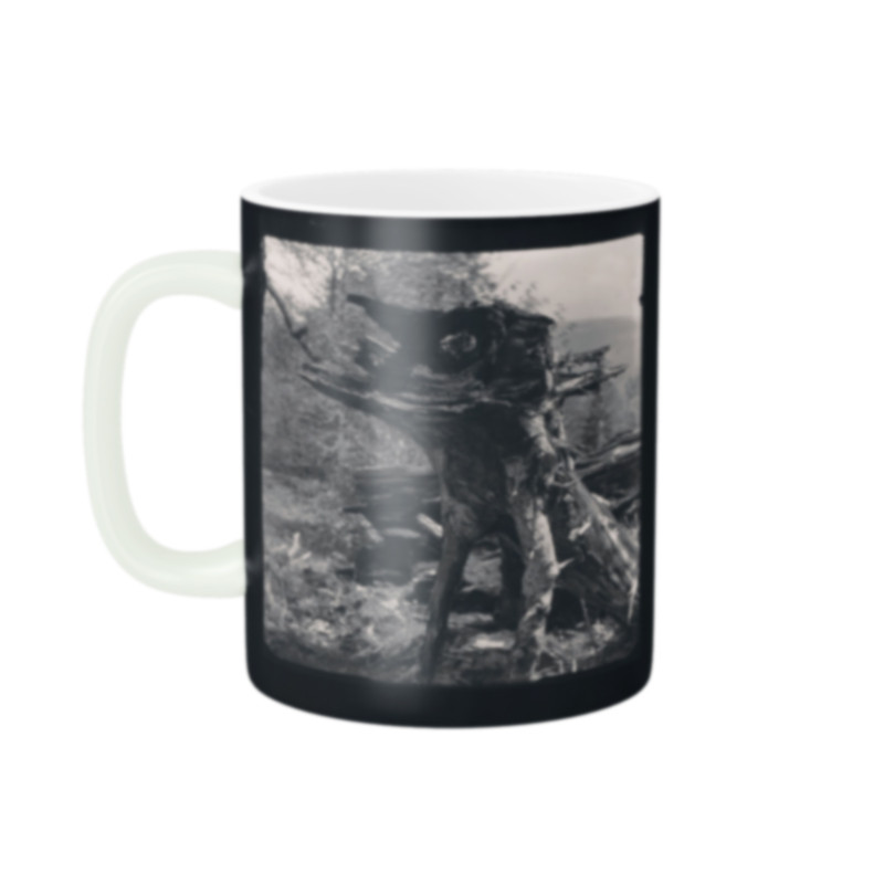فاکس شاپ ماگ مدل فانتزی کد 942