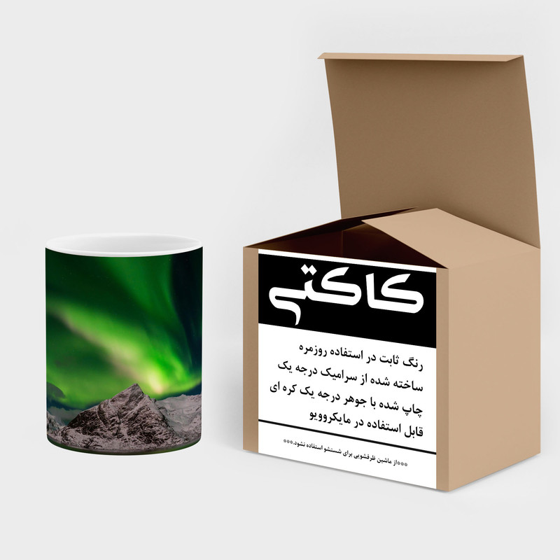 فاکس شاپ ماگ کاکتی مدل فانتزی کد mgh17381