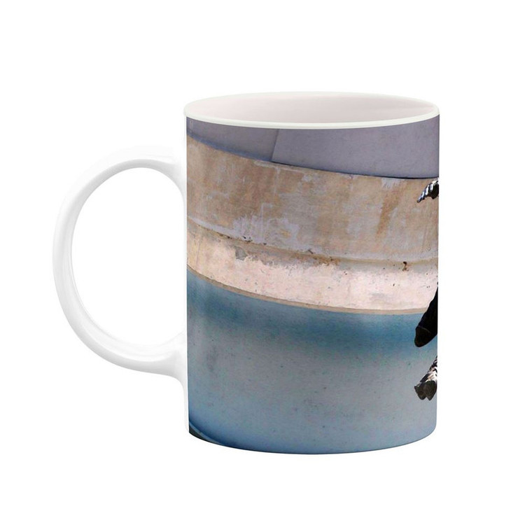 فاکس شاپ ماگ کاکتی مدل Barnes کد mgh37901