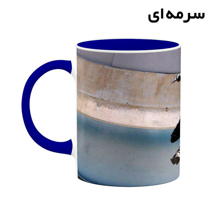 فاکس شاپ ماگ کاکتی مدل Barnes کد mgh37901