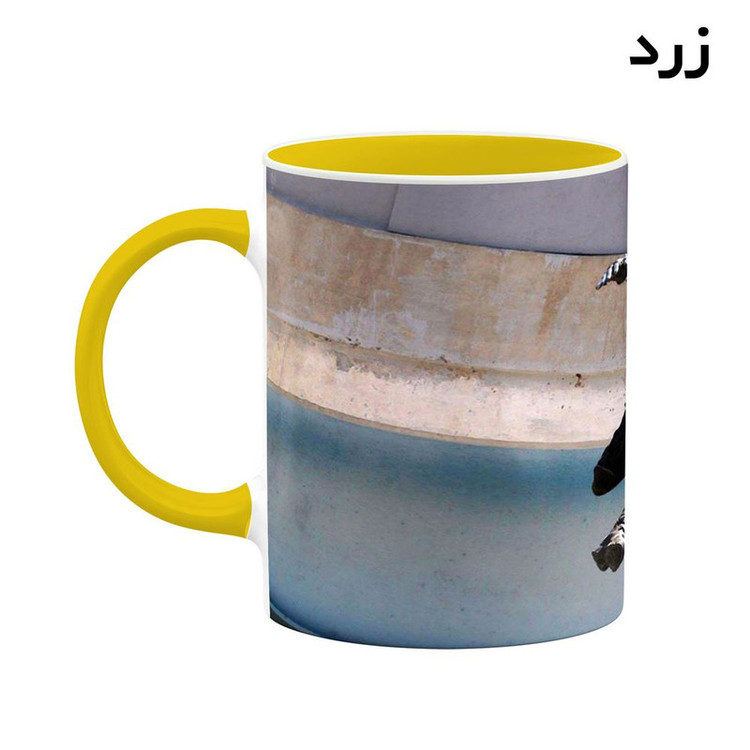 فاکس شاپ ماگ کاکتی مدل Barnes کد mgh37901