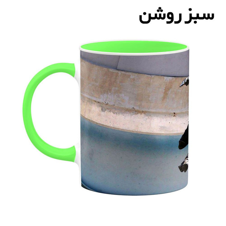 فاکس شاپ ماگ کاکتی مدل Barnes کد mgh37901