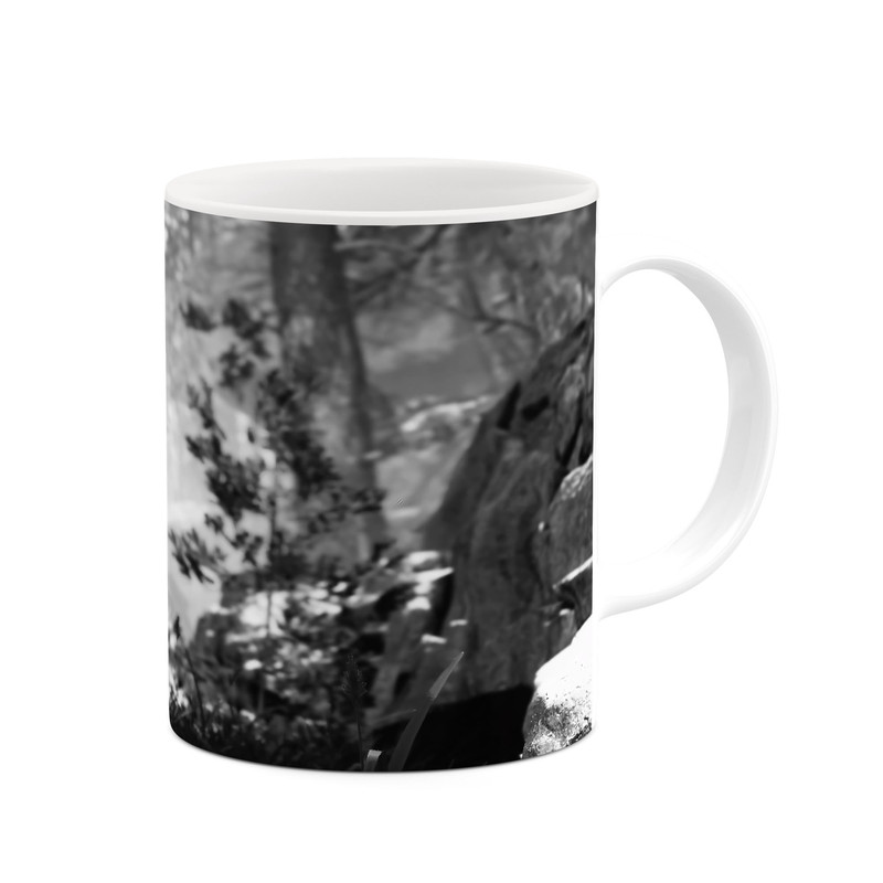 فاکس شاپ ماگ کاکتی طرح گاد آف وار God Of War مدل mgh40468