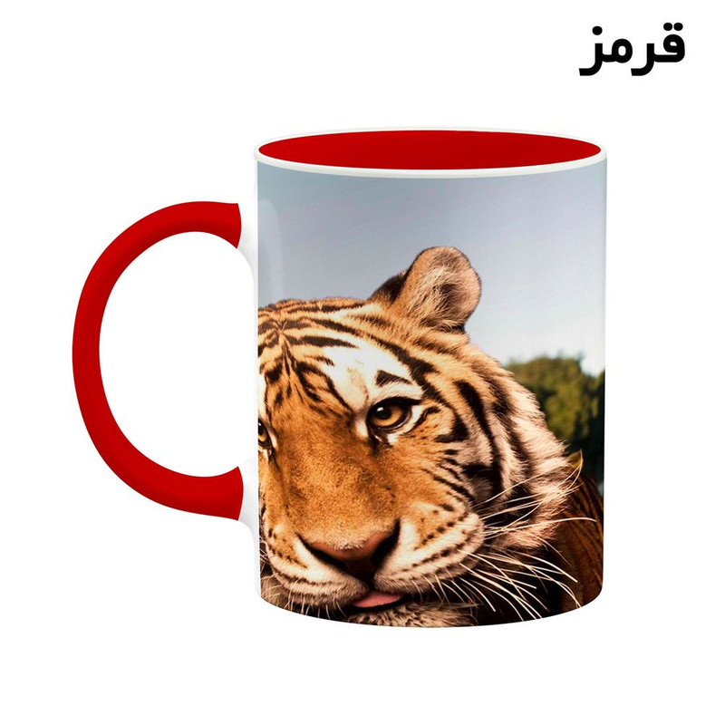 فاکس شاپ  ماگ کاکتی طرح جکی چان Jackie Chan مدل mgh26119