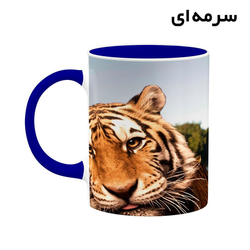 فاکس شاپ ماگ کاکتی طرح جکی چان Jackie Chan مدل mgh26119