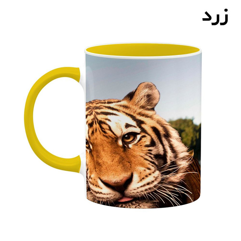 فاکس شاپ ماگ کاکتی طرح جکی چان Jackie Chan مدل mgh26119