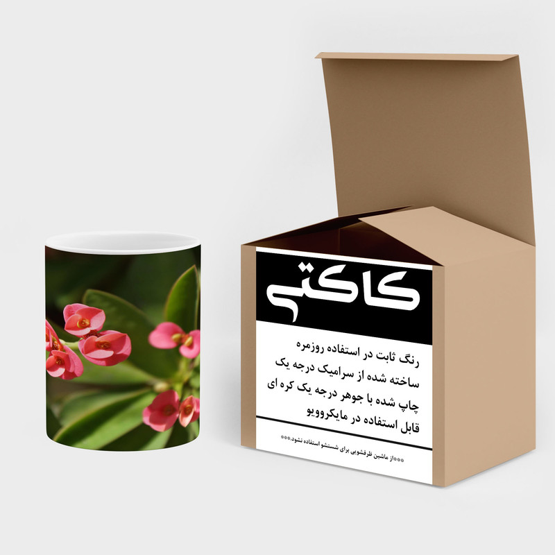 فاکس شاپ ماگ کاکتی مدل گل کد mgh17712