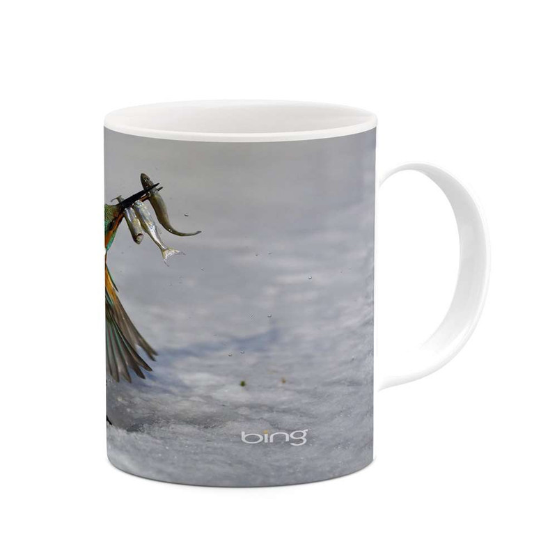 فاکس شاپ ماگ کاکتی مدل پرنده کد mgh19231
