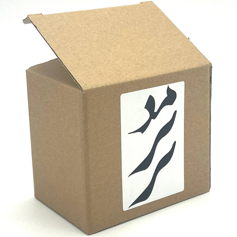 فاکس شاپ  ماگ مدبرتر مدل شخصی طرح اسم آریان کد 1258