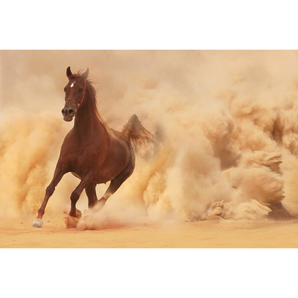 تابلو شاسی رومیزی طرح اسب کد horse 565