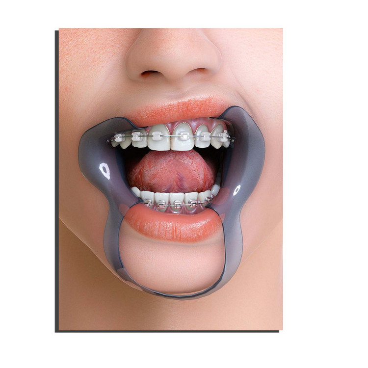 تابلو شاسی مدل ارتودنسی و دندان کد 9922